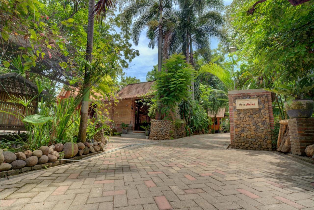Bata Merah Homestay Banyuwangi  Exterior photo