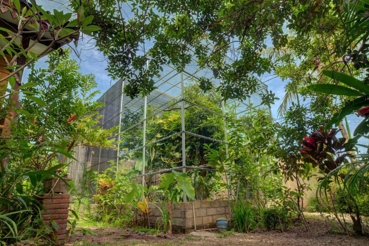 Bata Merah Homestay Banyuwangi  Exterior photo