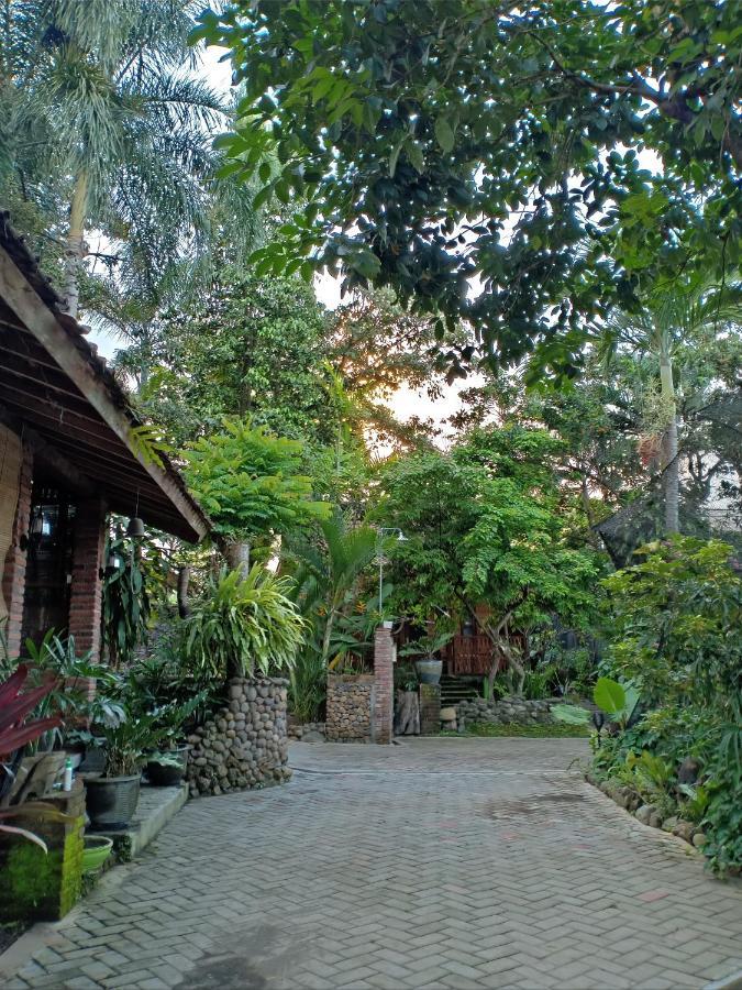 Bata Merah Homestay Banyuwangi  Exterior photo