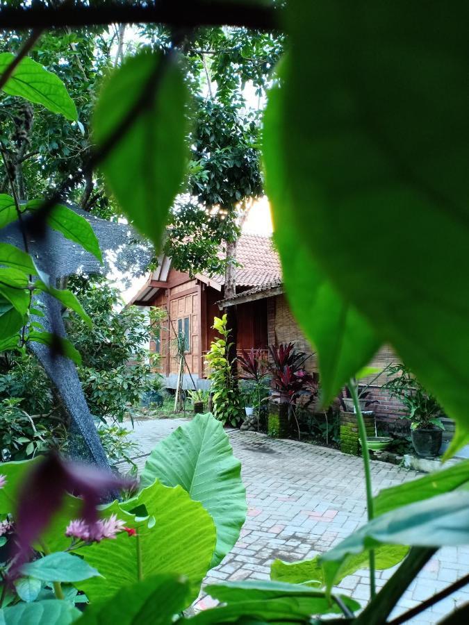Bata Merah Homestay Banyuwangi  Exterior photo