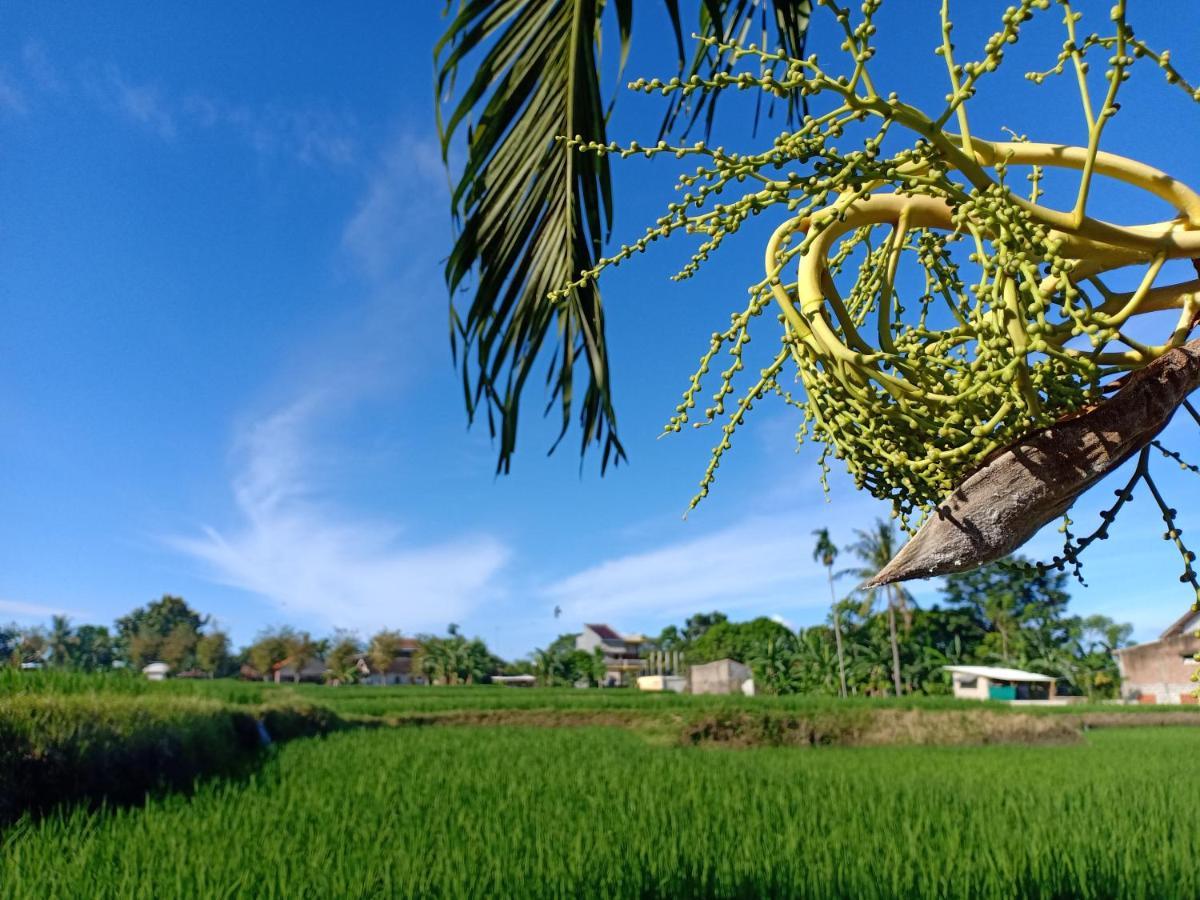 Bata Merah Homestay Banyuwangi  Exterior photo